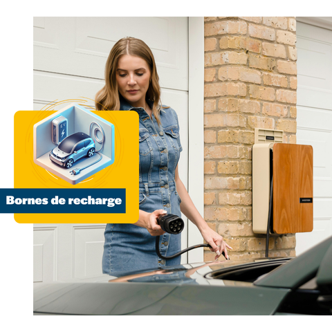 Chargeurs de voitures électriques