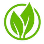 Projekt bez nazwy (27)